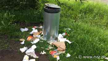 Damit der Müll im Eimer landet: Papenburg setzt Zeichen gegen anhaltende Probleme mit Abfall - NOZ