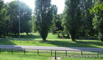 Cremona Consulta del Piano del Verde, i lavori proseguono - WelfareNetwork