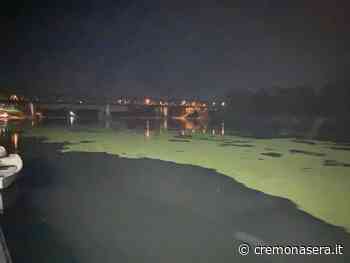 Ecco altre foto dell'inquinamento del Po. La massa bianca e schiumosa davanti alla Bissolati. L'indignazione dei cremonesi. Indagini - Cremona Sera