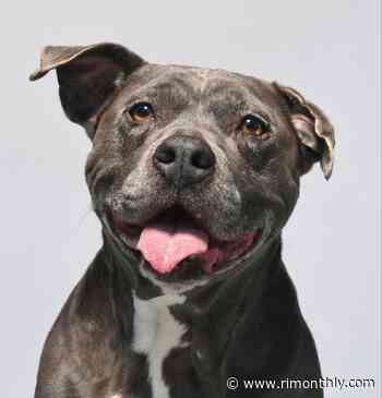 Q&A with Providence Animal Photographer Traer Scott - Rhode Island Monthly