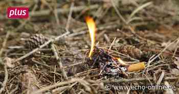 Heppenheim schließt öffentliche Grillplätze - Echo Online