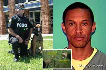 Florida man fatally shoots police dog before cops gun him down - New York Post
