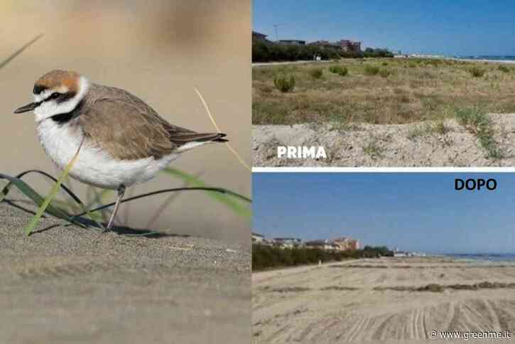 Jova Beach Party: domani la tappa più contestata a Fermo. Il WWF risponde alle critiche, ma è davvero convincente? - greenMe.it