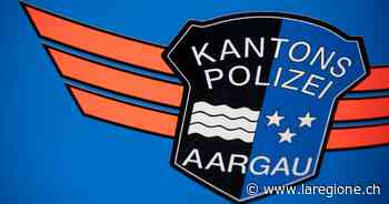 Cane ucciso a colpi di pistola, un fermo - laRegione