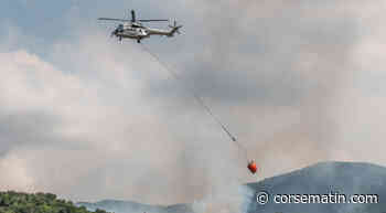 Corte : la foudre s'abat sur un arbre, un incendie détruit un hectare - Corse-Matin