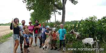 Zwei Familien laufen mit ihren Tieren vom Bodensee nach Meißen - Nordbayern.de