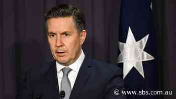 'Too early to tell if coronavirus has peaked': Health Minister - SBS