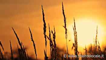 Alba sulla città a Casalecchio, escursione all'alba - mentelocale.it