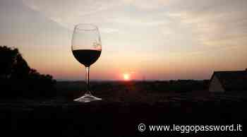 Calici di stelle a Morro d'Alba, il vino nel borgo dei desideri - Password Magazine
