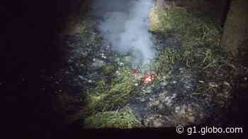 Incêndio em vegetação ameaça casas em Barbacena - Globo