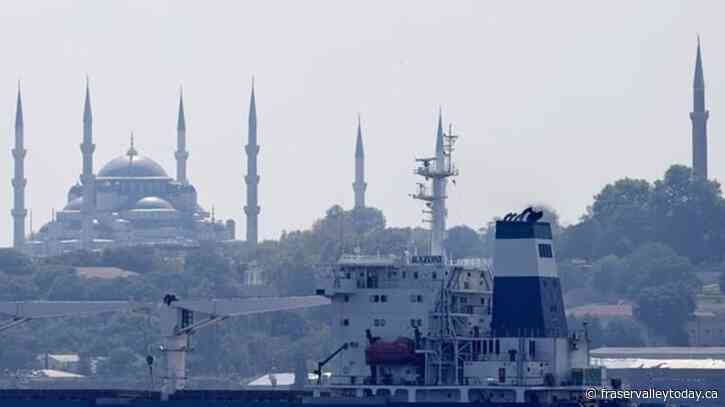 Three more ships with grain depart Ukrainian ports