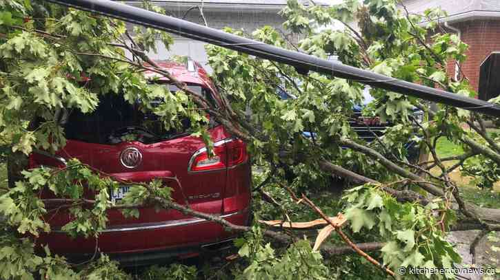 Elora residents dealing with storm damage | CTV News - CTV News Kitchener