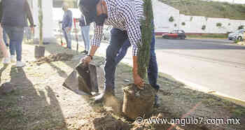 Ayuntamiento de San Andrés planta árboles en la Puebla-Atlixco - Ángulo 7