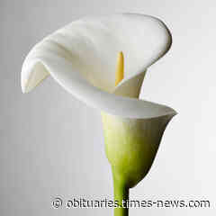 LaDonna Hughes | Obituary | Cumberland Times News - Cumberland Times-News