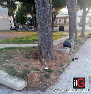 Mesagne. FdI chiede più attenzione alle periferie - Il Gazzettino di Brindisi