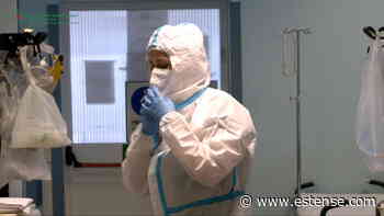 Covid, nel Ferrarese 494 nuovi contagi e due decessi | estense.com Ferrara - Estense.com