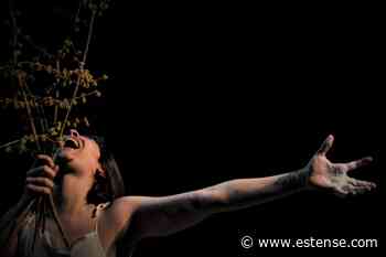 Arriva la tournée argentina di “Contra Gigantes” | estense.com Ferrara - Estense.com