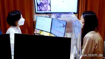 Eizellen einfrieren: Immer mehr "Bio-Banken" in Südkoreas Einkaufszentren - STERN.de