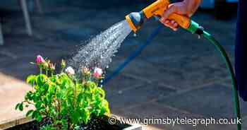 Anglian Water issues statement as hosepipe bans planned in the UK - Grimsby Live