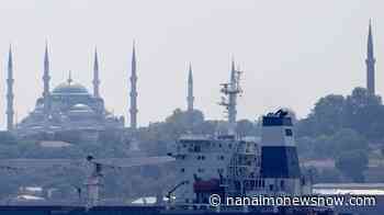 Three more ships with grain depart Ukrainian ports - Nanaimo News NOW