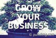 Experts say weak logistics dangerous for business growth - Punch Newspapers