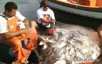 Estudo aponta que cada pescador da Lagoa de Araruama gera quatro novos empregos indiretos - O Dia