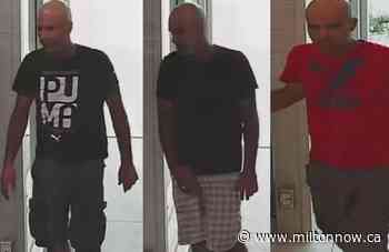 Stolen plates from Halton used in Niagara theft case - miltonnow.ca