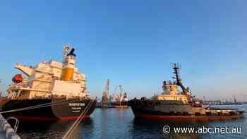 Three more grain ships leave Ukraine as soldiers fighting Russia in Donbas face 'hell'