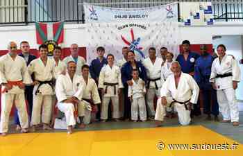 Anglet : les judokas assurent la reprise des échanges avec le club d’Ansbach - Sud Ouest