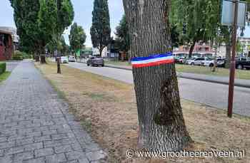 Lint met omgekeerde Nederlandse vlag om bomen aan de Van Kleffenslaan - GrootHeerenveen