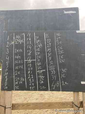 Dag 1 Schijndel: 9 veulens met een oranje lint - Phryso