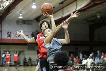 Elite Physical Therapy caps perfect season with championship - The Mon Valley Independent