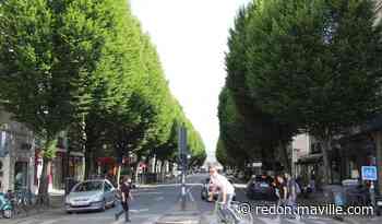 Rennes. Abattage des arbres avenue Janvier : nouveau camouflet pour la Ville - Maville.com