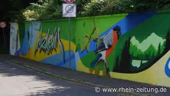 Graffitikunstwerk ziert Arzheimer Ortseingang: Künstler gestaltet Wand in der Hinterdorfstraße neu - Rhein-Zeitung