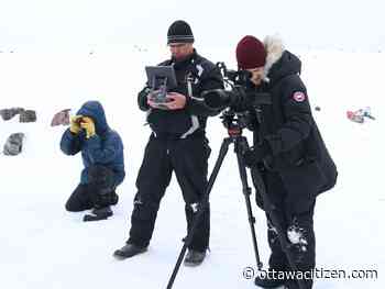 For the Inuit in Labrador, the caribou (and caribou-hunting) mean everything. What happens when this way of life is suddenly gone?
