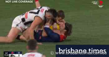 Magpies tear into Langdon - Brisbane Times