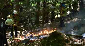 Wanderer entdeckt Feuer bei Baden-Baden und verhindert Waldbrand - BNN - Badische Neueste Nachrichten
