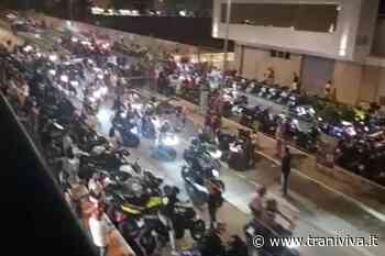 Scorpion Day: ieri a Trani uno spettacolare raduno di motociclette - TraniViva
