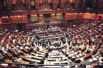 #pertraninoicisiamo: colloqui romani per Bottaro, e Giacomo Marinaro si dice pronto ad una candidatura - TraniViva