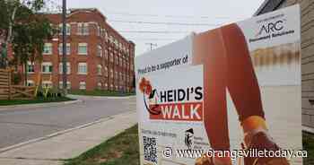 Registration now open for Heidi's Walk for Hope - orangevilletoday.ca