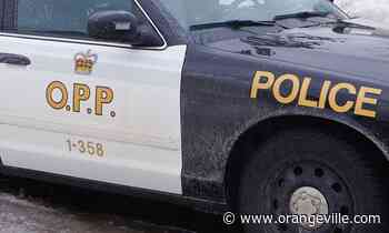 Orangeville resident faces weapons and drug charges - Orangeville Banner