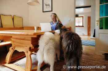 So können private Gastgeber:innen vom Oktoberfest-Tourismus profitieren