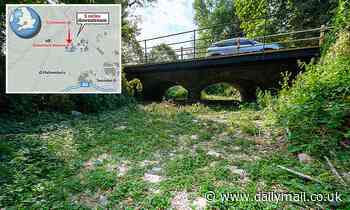 Source of the Thames DRIES UP for the first time, experts warn