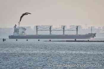 3 more ships with grain depart Ukraine ports under UN deal - Dawson Creek Mirror