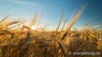 First ever agriculture conference coming to Dawson Creek - Energeticcity.ca - Energeticcity.ca