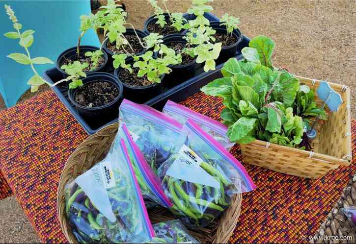 New Mexico Farmer's Market Week kicks off Aug. 7