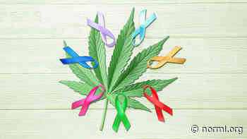 Study: Medical Cannabis Associated with Pain Mitigation, Reduced Reliance on Opioids in Patients with Advanced Cancer - Norml