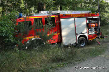 Warnstufe 5 in Dresden: Diese Parks und Wälder dürfen nicht mehr betreten werden! - TAG24
