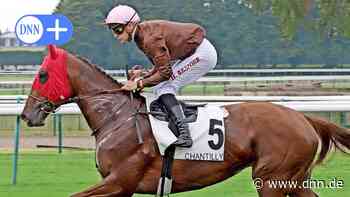 Galopprenntag in Dresden-Seidnitz mit französischem Top-Jockey - Dresdner Neueste Nachrichten