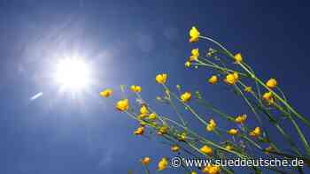 Wetter - Dresden - Heißer Donnerstag mit etwa 37 Grad: Teils Tagesrekorde - Panorama - Süddeutsche Zeitung - SZ.de
